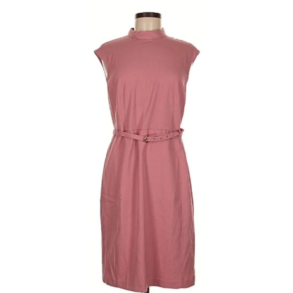 Ann Taylor Mock Neck Belted Shift Dress in Mauve